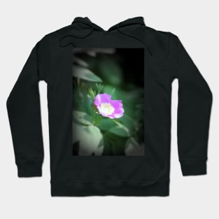 Old fashioned pink rose, near Trojan pond, Oregon Hoodie